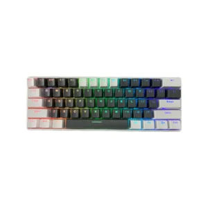 Double tone keycaps, mini 61 key RGB gaming backlit USB keyboard,